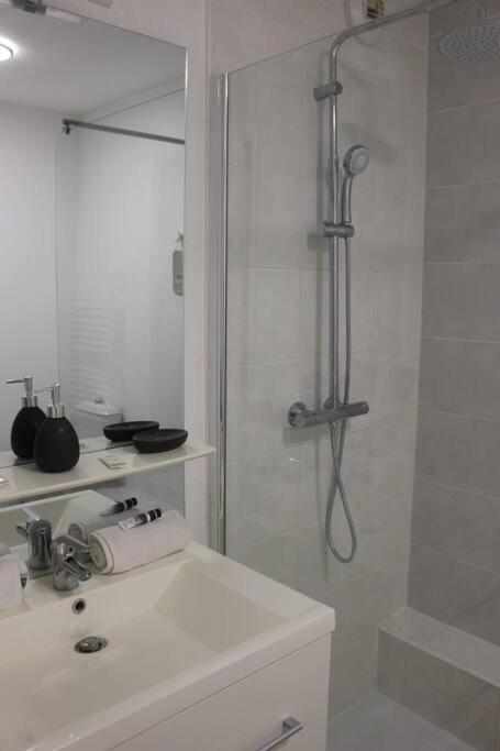 Appartement De Charme - Proche Centre-Ville Et Gare Montpellier Dış mekan fotoğraf